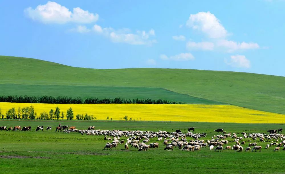 内蒙古，辽阔草原的自然与文化瑰宝