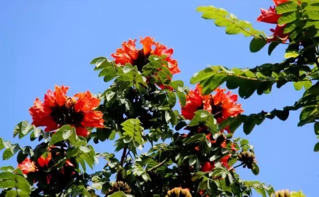 梦想起航之地，海南，自信之翼翱翔